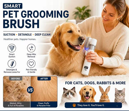 🔥Electric Pet Grooming Comb🐕Keep your furry friends away from mites, fleas and tangled fur!