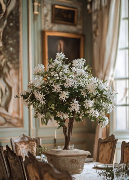 🔥LAST DAY Promotion 50% OFF 🌸Beautiful Jasmine Plant(Can be planted in winter)